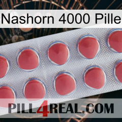 Rhino 4000 Pill 18